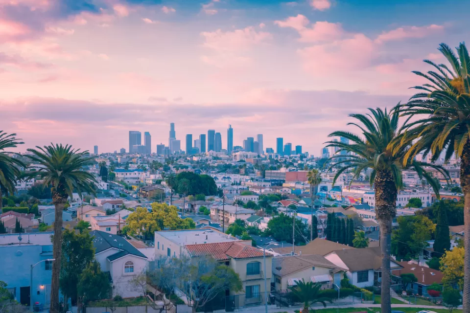 View of downtown Los Angeles from elevated hillside with palm trees in foreground and pink sky.